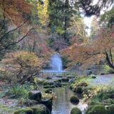 １時間の神タイムー紅葉に浸るー