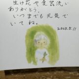『母の日、体調は悪くて外出できなかったけど、母がいちばん喜んだプレゼントとは？！』